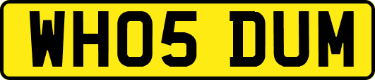 WH05DUM