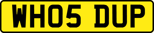 WH05DUP
