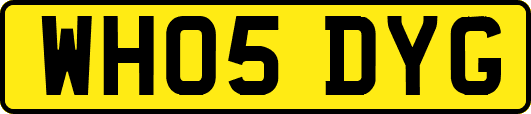 WH05DYG