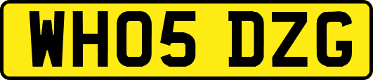 WH05DZG