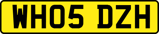 WH05DZH