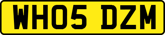 WH05DZM