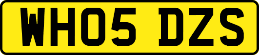 WH05DZS