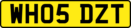 WH05DZT