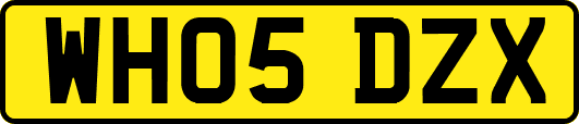 WH05DZX