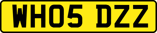 WH05DZZ