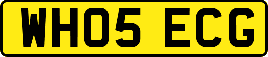 WH05ECG