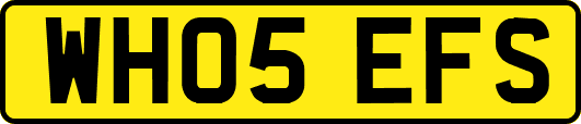WH05EFS