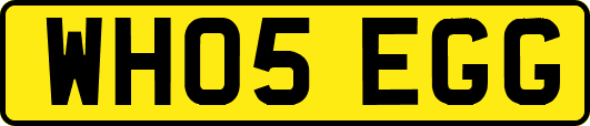 WH05EGG