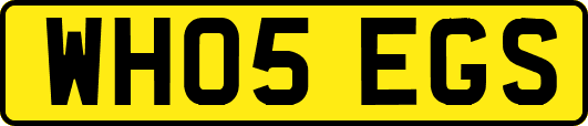 WH05EGS