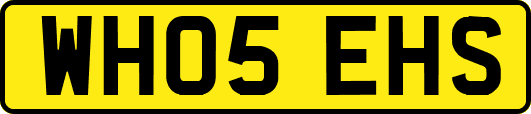 WH05EHS