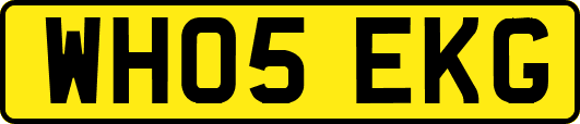 WH05EKG