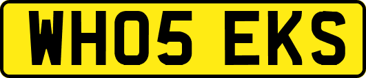 WH05EKS