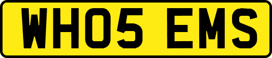 WH05EMS