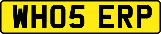 WH05ERP