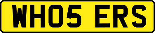 WH05ERS