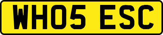 WH05ESC