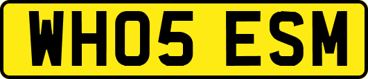 WH05ESM