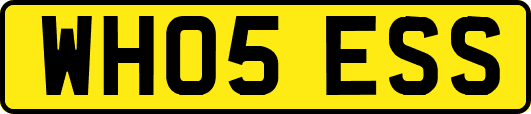 WH05ESS