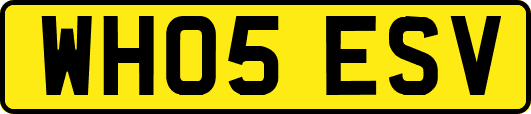 WH05ESV