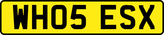WH05ESX