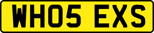 WH05EXS