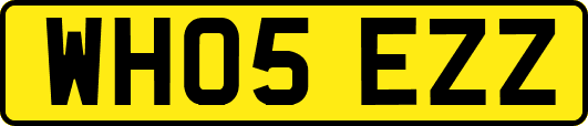 WH05EZZ
