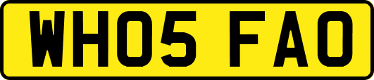 WH05FAO