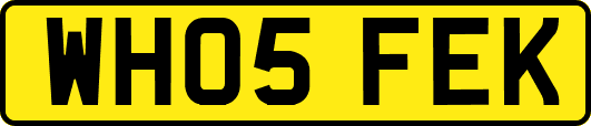 WH05FEK