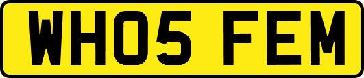 WH05FEM