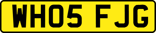 WH05FJG