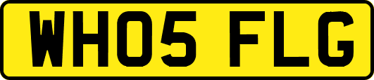 WH05FLG