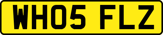 WH05FLZ