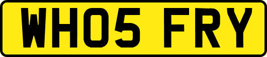 WH05FRY
