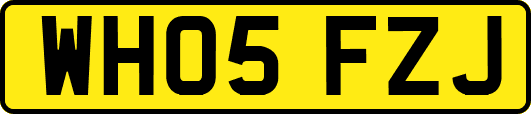 WH05FZJ