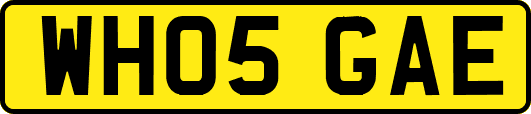 WH05GAE