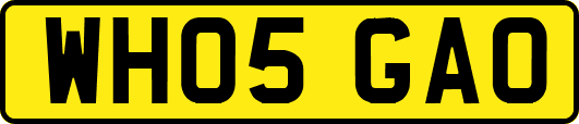 WH05GAO