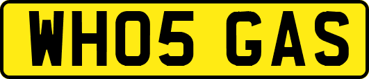 WH05GAS