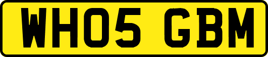 WH05GBM