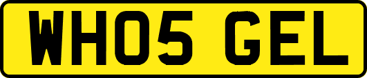 WH05GEL