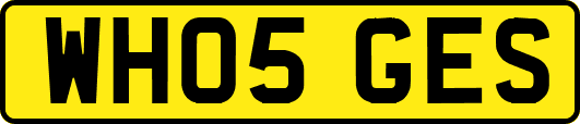 WH05GES