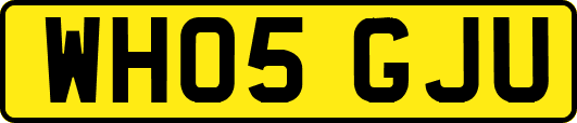 WH05GJU