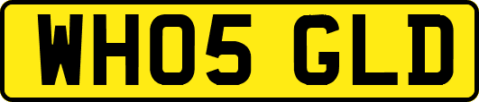 WH05GLD