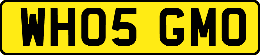 WH05GMO