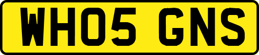WH05GNS
