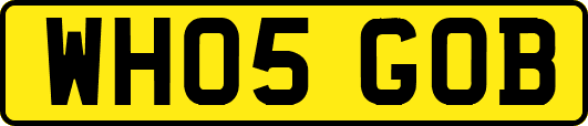 WH05GOB