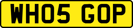WH05GOP