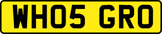 WH05GRO