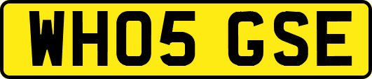 WH05GSE