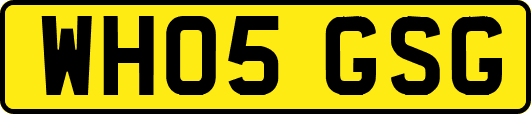 WH05GSG